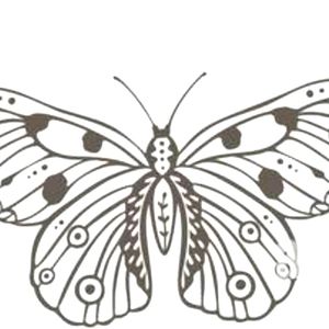 Meet your Posher, Eoin